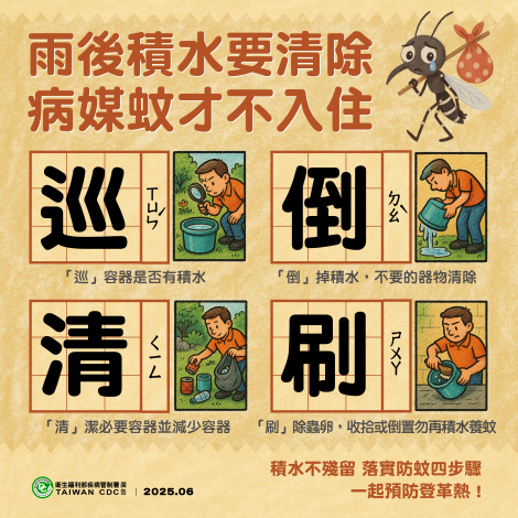 照片5