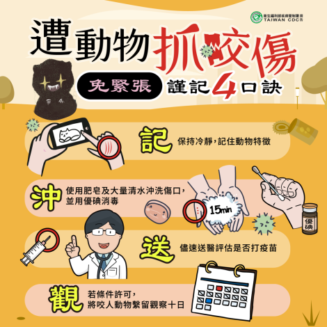 狂犬病單張