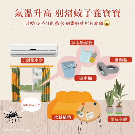 別養蚊子寶寶